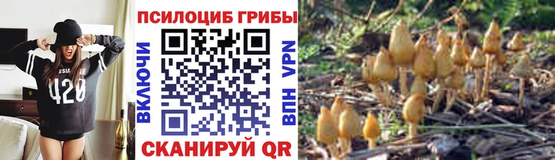 Псилоцибиновые грибы Magic Shrooms  mega вход  Могоча 
